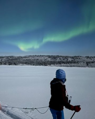 Itinérance et pulkas au pays des Samis
