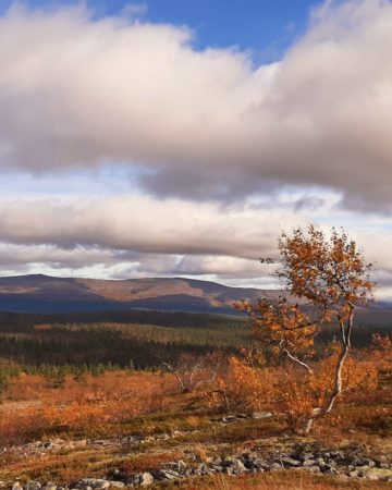 La Ruska Finlandaise en étoile – 12-19.09.2026